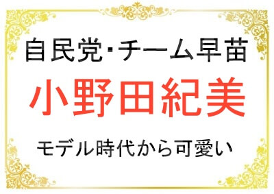 自民党の小野田紀美さんがモデル時代から可愛い件について