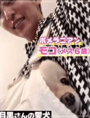 目黒蓮さんの番組出演時の様子